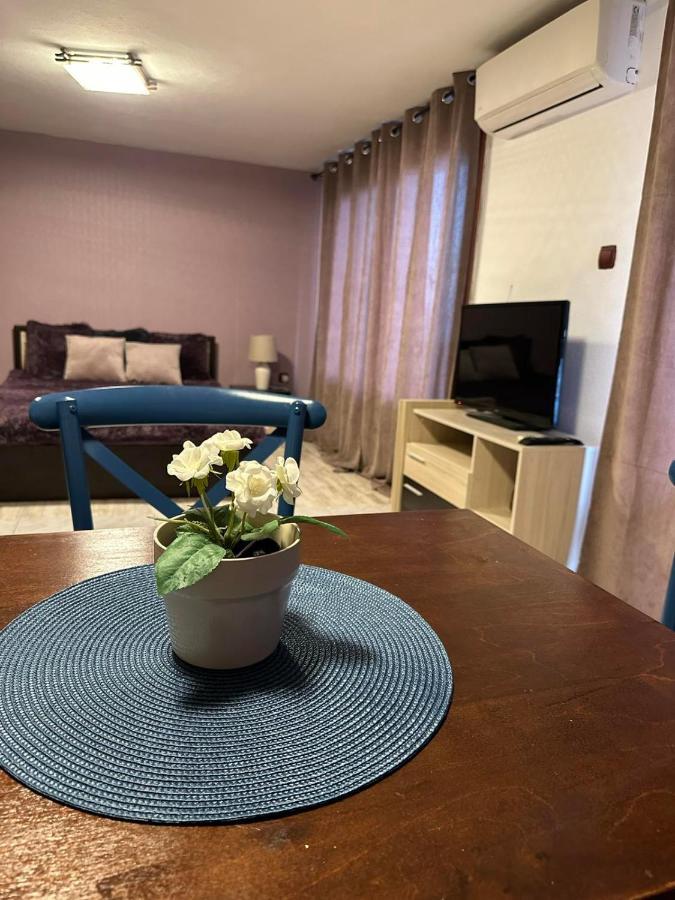 Hotel Вила Николета à Sveti Vlas Extérieur photo