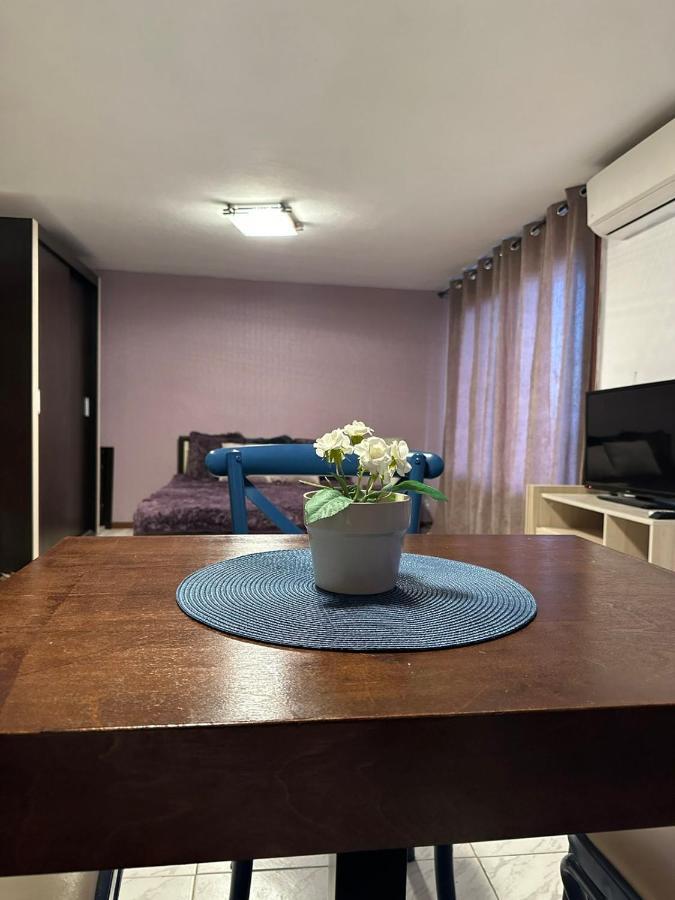 Hotel Вила Николета à Sveti Vlas Extérieur photo